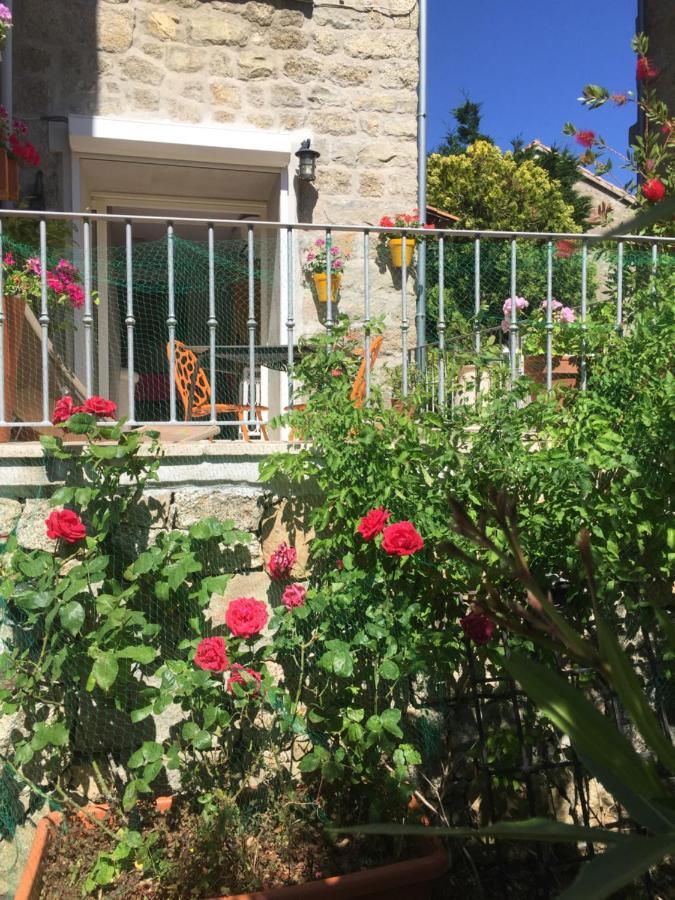 Maison De Vacances - Casa Mezanaccia Avec Terrasse Fleurie Meuble Tourisme 3 Etoiles Santa-Lucia-di-Tallano Dış mekan fotoğraf