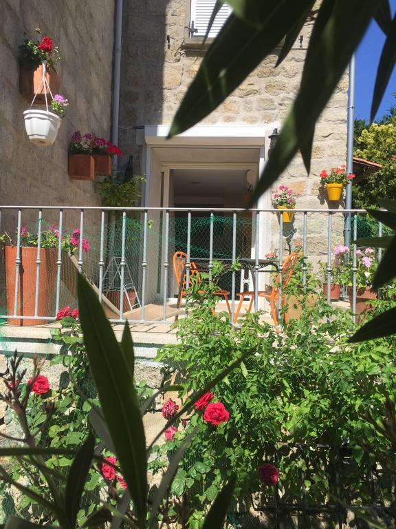 Maison De Vacances - Casa Mezanaccia Avec Terrasse Fleurie Meuble Tourisme 3 Etoiles Santa-Lucia-di-Tallano Dış mekan fotoğraf